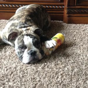 Meet your Posher, Cameron